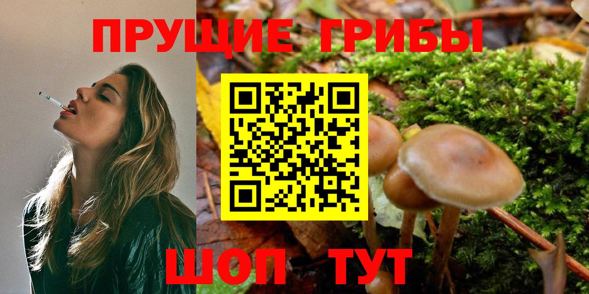 Галлюциногенные грибы мухоморы Грозный