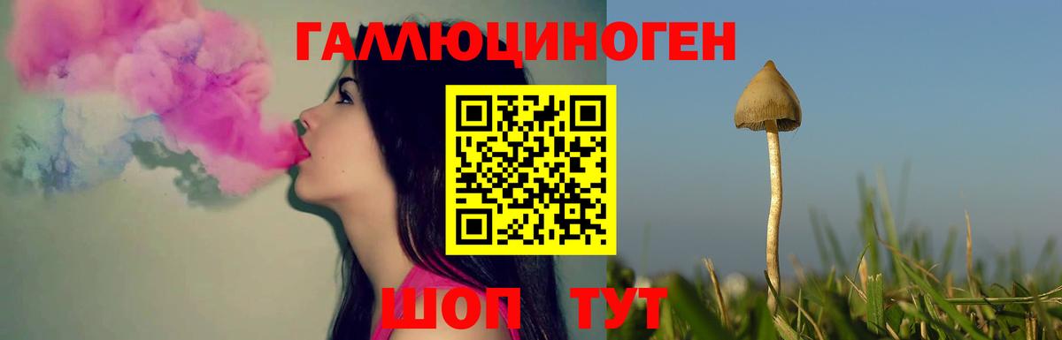 Псилоцибиновые грибы GOLDEN TEACHER  Псилоцибиновые грибы Psilocybe  Вход с VPN  закладка  Грозный 